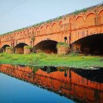 image 2026 02 19t112647.144