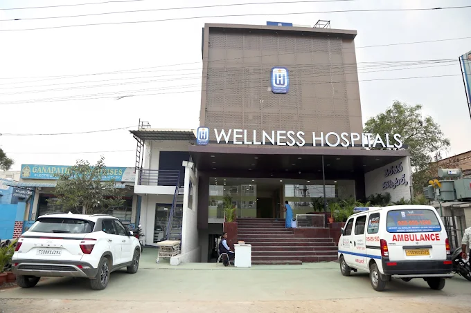 Wellness Hospitals