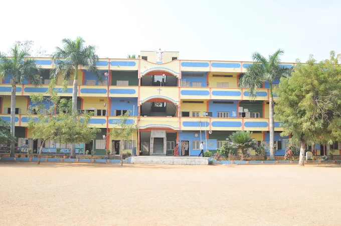 St Peters Edu School