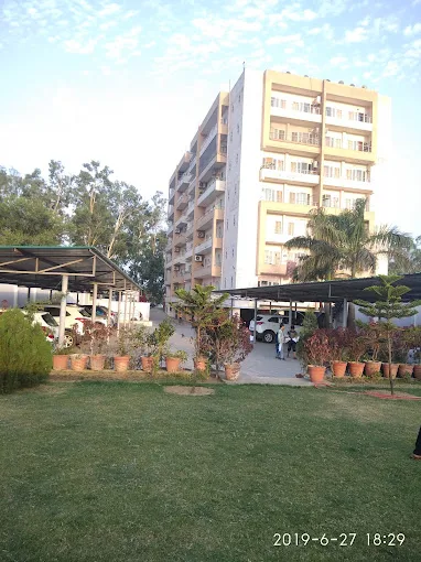 Sarojson Digital LLP