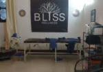 Bliss Wellness Zone
